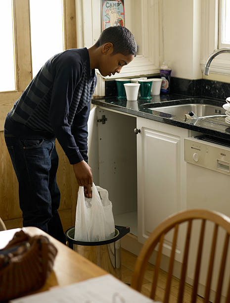 Best Trash Removal Near Me  in Rosewood Heights, IL